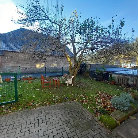 Dennis * Witzenhausen