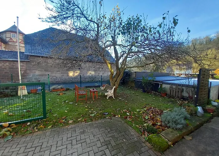 Dennis * Witzenhausen